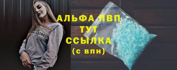 2c-b Бородино