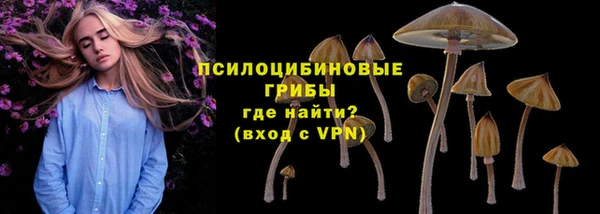 дживик Надым