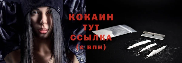 дживик Надым