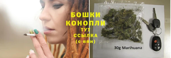 PSILOCYBIN Апатиты