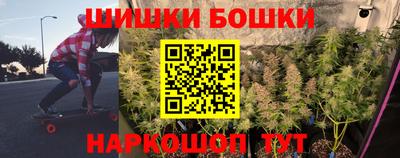 шишки Бийск