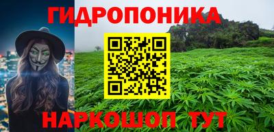 крисы Берёзовский