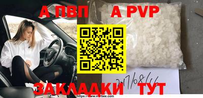 шишки Бийск