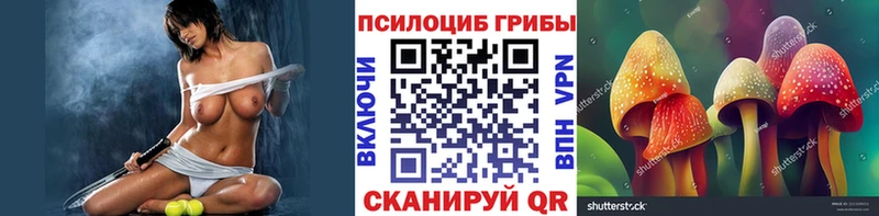 Галлюциногенные грибы Psilocybe  ОМГ ОМГ рабочий сайт  Отрадное  что такое  