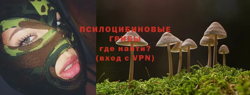 Псилоцибиновые грибы Magic Shrooms  хочу наркоту  Отрадное 