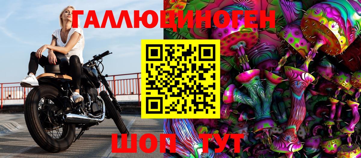 Псилоцибиновые грибы прущие грибы  Псилоцибиновые грибы прущие грибы  Отрадное  Вход с VPN 