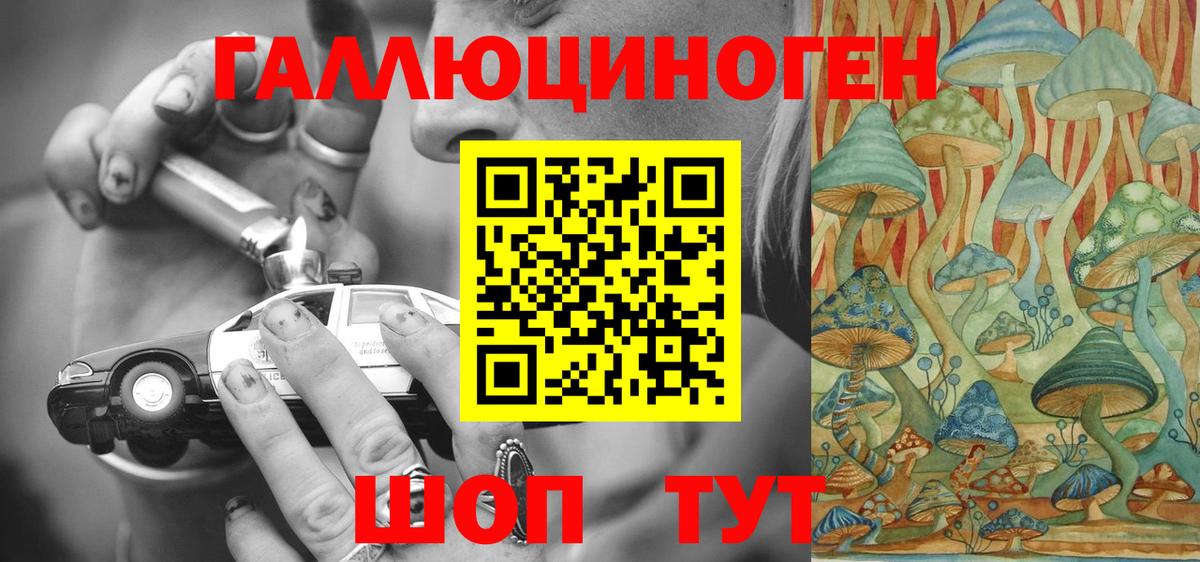 Псилоцибиновые грибы Psilocybine cubensis Отрадное